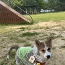 원포공원 이미지