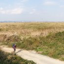 성덕면사무소 이미지