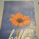 자연을 담은 꽃그림-천아트 | 🌼 꽃그림액자 하나로 분위기 반전! 플릭FLEAK 인테리어포스터로 빈티지소품 완성