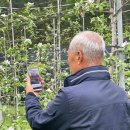 스마트폰 앱 활용 이미지