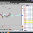 서전약품 이미지