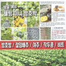 대운농장 이미지