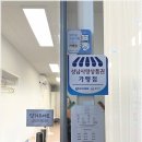 루이네일