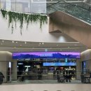 제일특유 | 아이랑 주토피아2 보고 팝업까지! 영화·팝업 후기 (쿠키영상 있음) in 대전 신세계