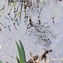 화동못 수변공원 이미지