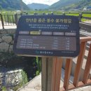 봉수면사무소 이미지