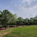 정자나무공원 이미지