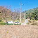 보리공인중개사사무소 이미지