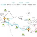 한라산 제2농장 이미지