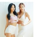 블러썸PT 이미지