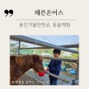 팔형제 농장 | [공지] 용인가볼만한곳 헤븐온어스 동물체험 고구마 수확까지! 재방문할 수밖에 없는 가족 힐링 코스