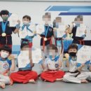 청룡태권도장 네이버블로그