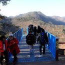 출렁다리 이미지