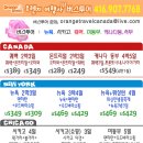 오렌지 여행사