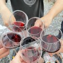 에버스트리트2 | [ 용인펜션 추천 ] 에버스트리트펜션 내돈내산 후기