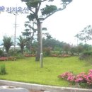 (주)세진환경건설 Daum카페