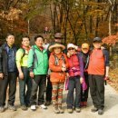 봉림흑염소 이미지