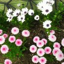 회기어린이집 이미지