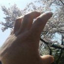 청평4리 마을회관 이미지