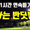 노래에 빠지다 이미지