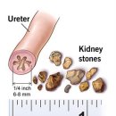 선비뇨기과의원 이미지