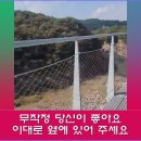 임수정-연인들의 이야기.(가사포함). 배경영상-철원 주상절리길. [K-POP] Soft rock ballads 70s 80s 90s. 이미지