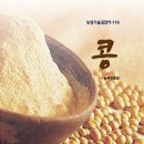 송가네 이미지