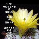 현대직업소개소