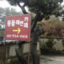 주전블루베리 이미지