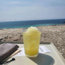 애월숲에201 이미지