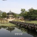 향원정 이미지