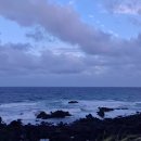 제주도 2025여름일기 38. 격변의 날씨회오리 속 마음비우기 이미지