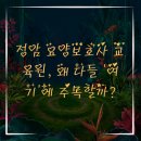 정암 요양보호사 교육원, 왜 다들 &#39;여기&#39;에 주목할까?