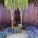 복똥이강아지 이미지