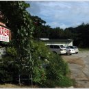 양지민박 이미지