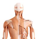 화원대찬정형외과의원 이미지