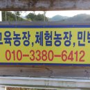 창희네 농장 이미지