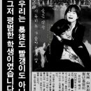 정오비디오