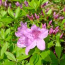 연세바름치과의원 이미지