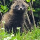 굿모닝농장2 이미지