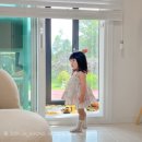제주조우아조수 이미지