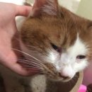 보리콩이네 이미지