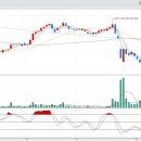 코스믹바이오 이미지