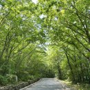 느루쉼터 화장실 | 250529 고성 화암사 - 신선대 울산바위 뷰 feat. 캠핑느루