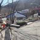 달기랑오리랑 이미지
