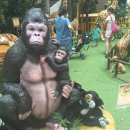 바다로마트(복합) 이미지