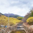 하위주택공원 이미지