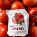 에스티벤처스