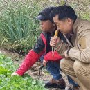 장원환경(주) 티스토리