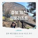 청풍리조트 레이크호텔 슈페리어 레이크뷰 아이와 다녀온 솔직 후기
